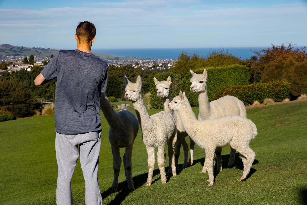 Alpaca Farmstay Dunedin Exterior foto